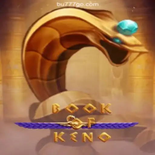 Exploring the World of BookOfKeno: A Thrilling Online Gaming Experience